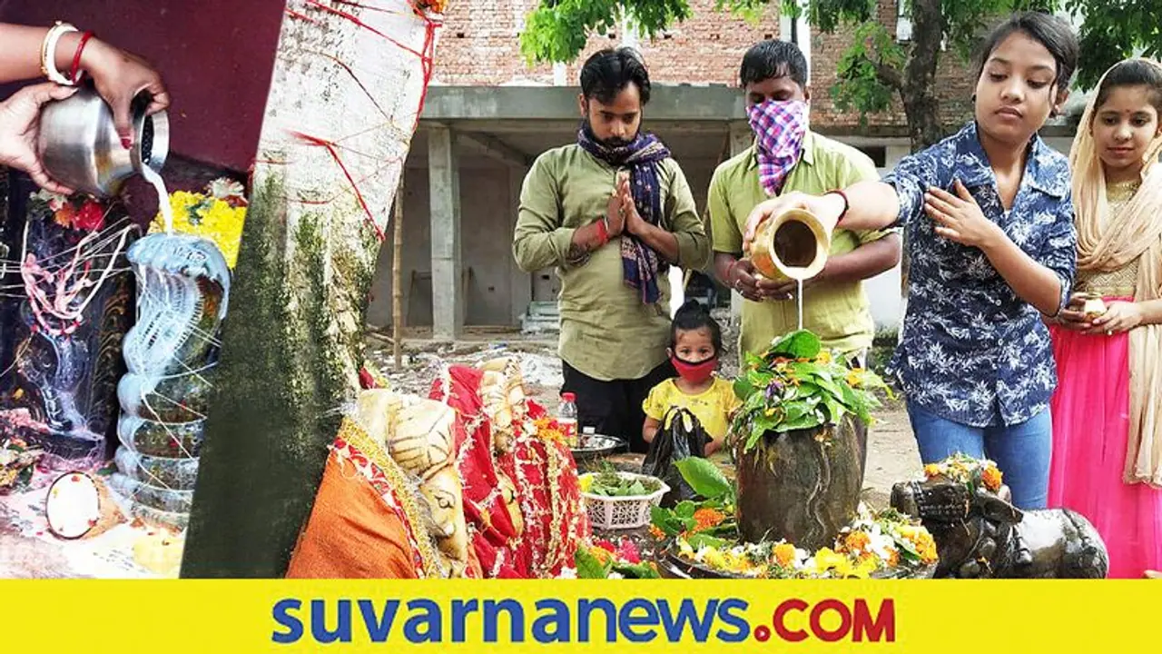 ನಾಗರ ಪಂಚಮಿ ಹೇಗೆ ಶುರು ಆಯ್ತು? ಅರ್ಥಪೂರ್ಣವಾಗಿ ನಾಗದೇವರ ಪೂಜೆ ಹೀಗೆ ಮಾಡಿ