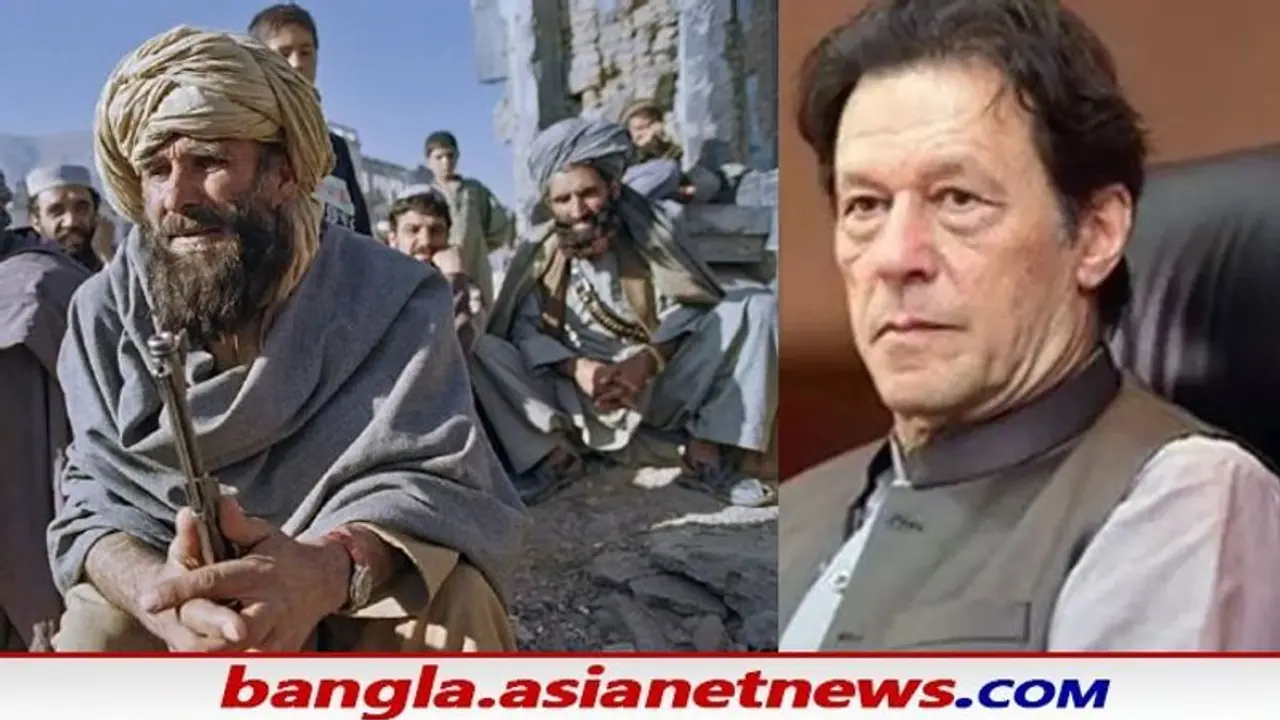 ইমরানের আফগানিস্তান নিয়ে মন্তব্য, প্রাক্তন ক্রিকেট ক্যাপ্টেন কি এবার তালিবানদের মুখপাত্র ইমরানের আফগানিস্তান নিয়ে মন্তব্য, প্রাক্তন ক্রিকেট ক্যাপ্টেন কি এবার তালিবানদের মুখপাত্র
