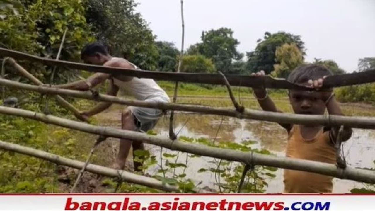 আত্মসমর্পণ করেও মেলেনি 'সরকারি চাকরি', পেটের জ্বালায় কোদাল ধরেছেন মাওবাদী লিঙ্কম্যান আত্মসমর্পণ করেও মেলেনি 'সরকারি চাকরি', পেটের জ্বালায় কোদাল ধরেছেন মাওবাদী লিঙ্কম্যান
