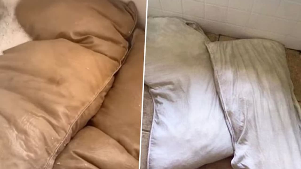 Watch: When wife cleans husband's favourite pillows; she got shocked to see this