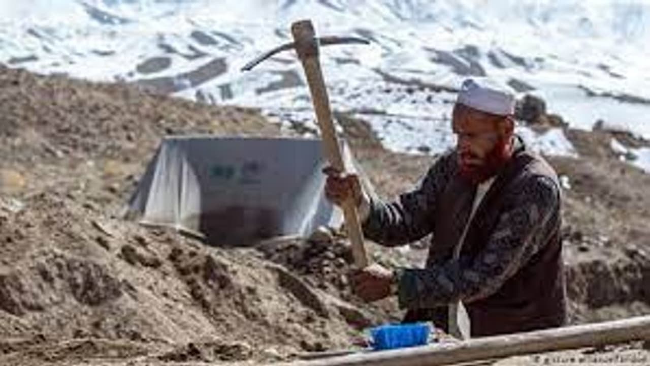 Taliban forcing Afghanistan women to marry terrorists, suggests report Taliban forcing Afghanistan women to marry terrorists, suggests report