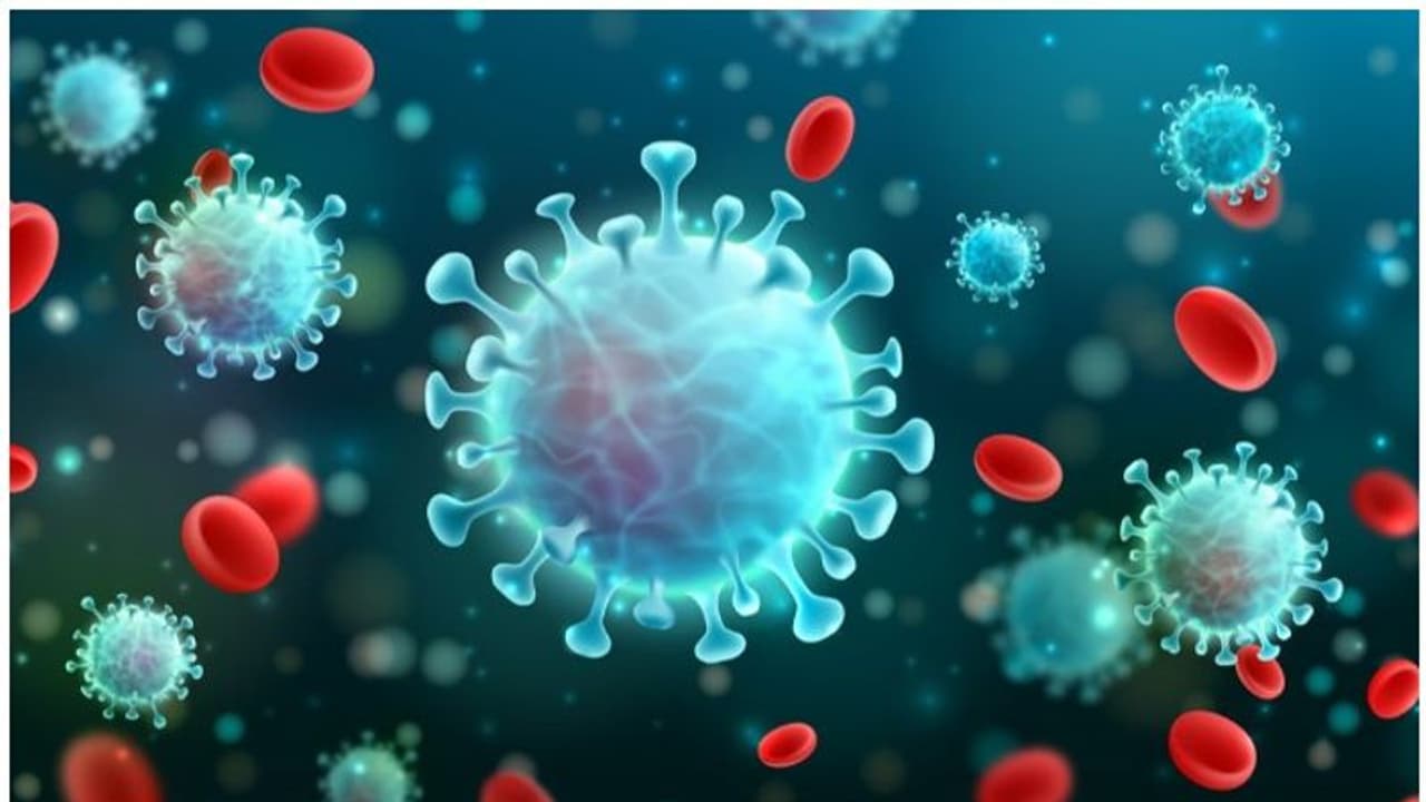 കൊവിഡിന്റെ ഉത്ഭവം; വീണ്ടും അന്വേഷണം നടത്തണമെന്ന് ലോകാരോഗ്യ സംഘടന, നിരസിച്ച് ചൈന കൊവിഡിന്റെ ഉത്ഭവം; വീണ്ടും അന്വേഷണം നടത്തണമെന്ന് ലോകാരോഗ്യ സംഘടന, നിരസിച്ച് ചൈന