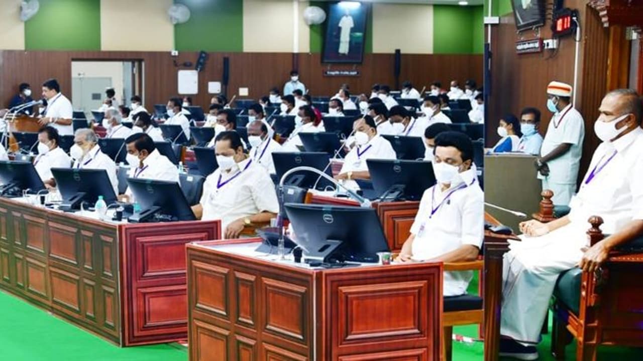 TN Budget 2022 : உயர்கல்வி பயில அரசு பள்ளி மாணவிகளுக்கு மாதம் ரூ.1000 பட்ஜெட்டில் அதிரடி அறிவிப்பு TN Budget 2022 : உயர்கல்வி பயில அரசு பள்ளி மாணவிகளுக்கு மாதம் ரூ.1000 பட்ஜெட்டில் அதிரடி அறிவிப்பு