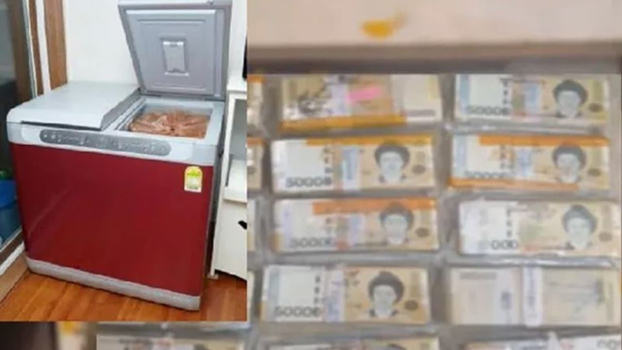 ऑनलाइन फ्रिज ऑर्डर करते ही लखपति हो गया कस्टमर, 96 लाख रुपयों का मिला बंडल ऑनलाइन फ्रिज ऑर्डर करते ही लखपति हो गया कस्टमर, 96 लाख रुपयों का मिला बंडल