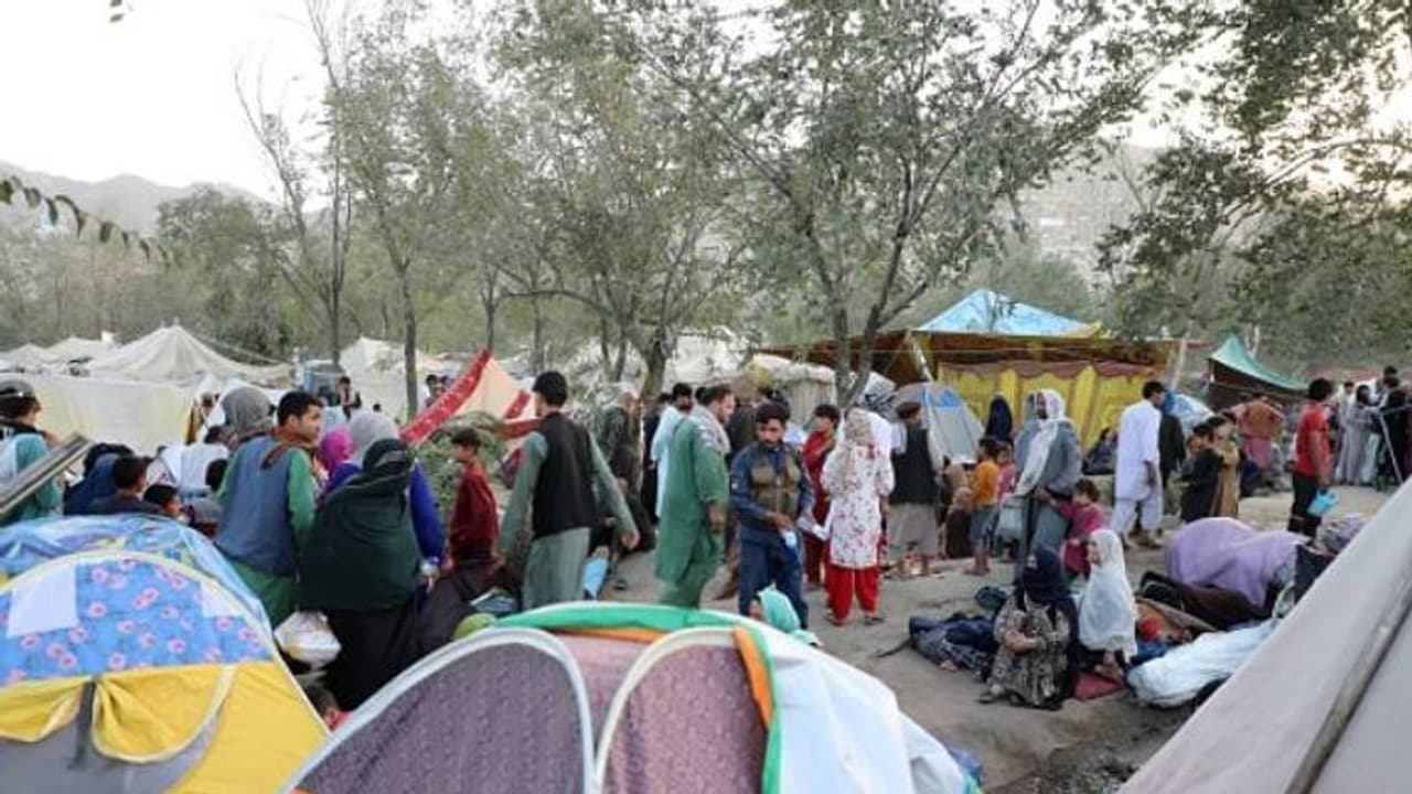 'എല്ലാ കഷ്ടപ്പാടുകളും വെറുതെയായി, എല്ലാ സ്വപ്നങ്ങളും കുഴിച്ചുമൂടി, ഇഷ്ടത്തിനിനിയൊന്ന് പുറത്തിറങ്ങാനാവുമോ?' 'എല്ലാ കഷ്ടപ്പാടുകളും വെറുതെയായി, എല്ലാ സ്വപ്നങ്ങളും കുഴിച്ചുമൂടി, ഇഷ്ടത്തിനിനിയൊന്ന് പുറത്തിറങ്ങാനാവുമോ?'