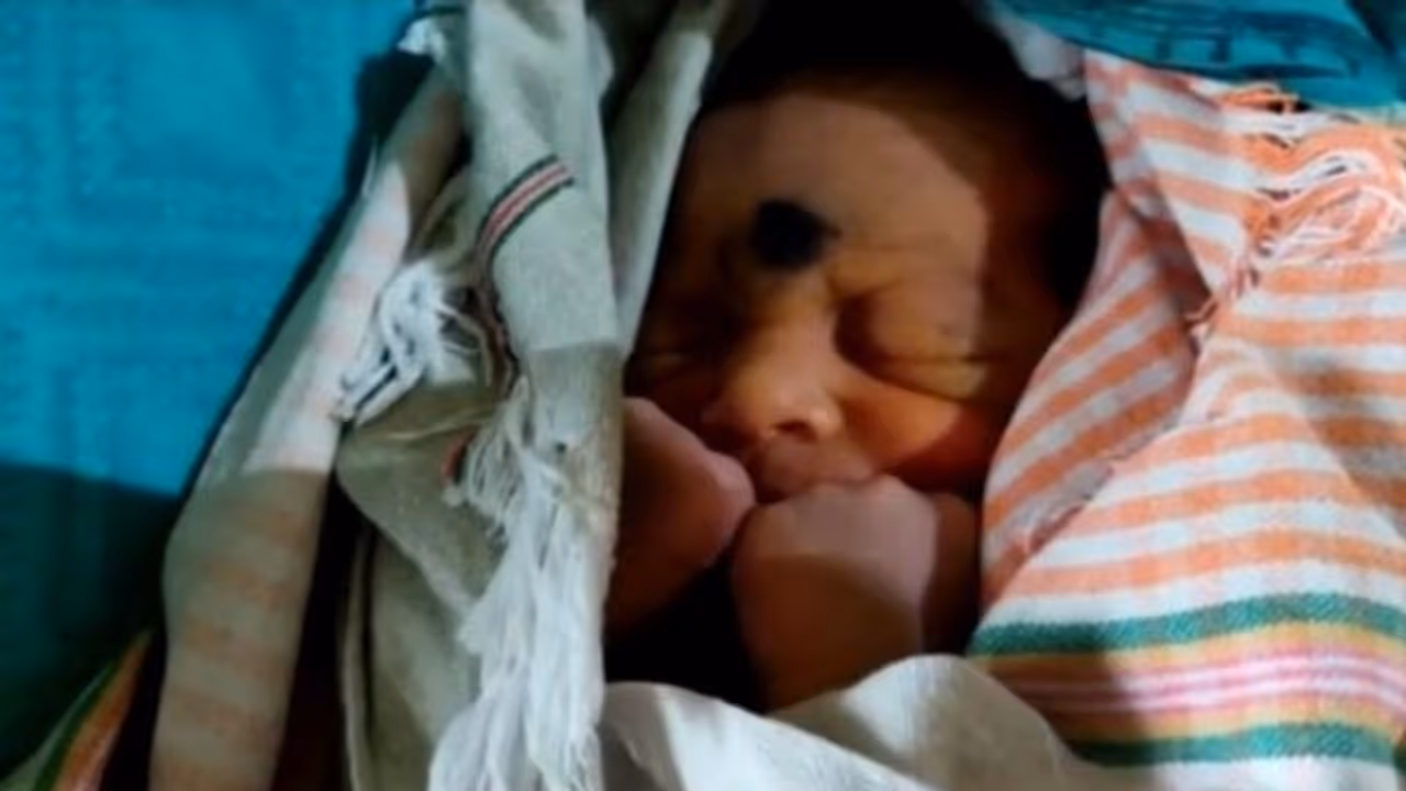 వరంగల్ లో అమానవీయం... స్మశాన వాటికలో అప్పుడే పుట్టిన పసిగుడ్డు వరంగల్ లో అమానవీయం... స్మశాన వాటికలో అప్పుడే పుట్టిన పసిగుడ్డు