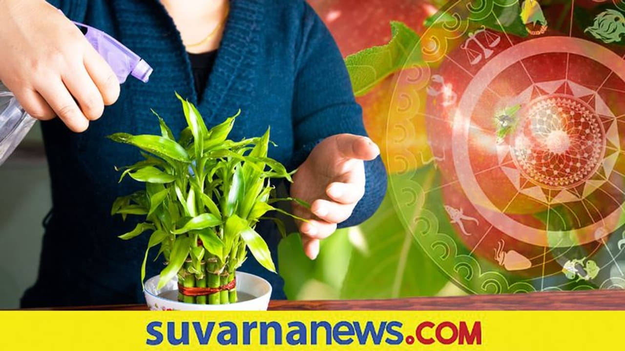Vastu Tips : ಹಣದ ಸುರಿಮಳೆಯಾಗ್ಬೇಕಂದ್ರೆ ಹೊಸ ವರ್ಷ ಮಾಡಿ ಈ ಕೆಲಸ