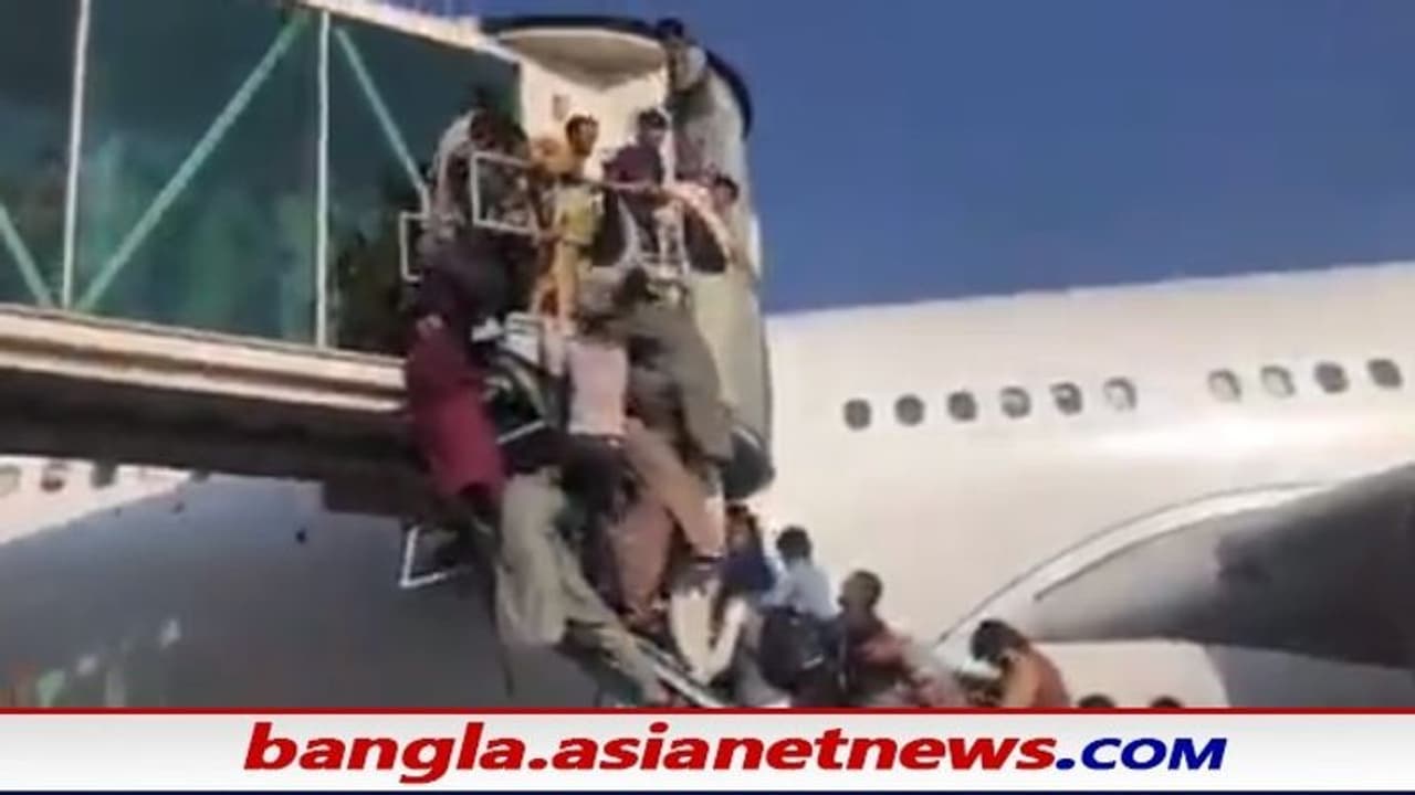 Afghanistan: তালিবান শাসনের ২৪ ঘণ্টার মধ্যেই রক্তাক্ত কাবুল, দেশ ছেড়ে পালাতে মরিয়া আফগানবাসী