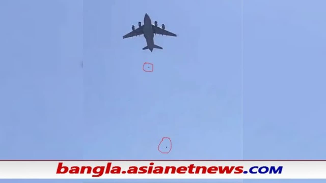 Viral Video বিমানের চাকা ধরেই তালিবানভূমি ছাড়ার মরিয়া চেষ্টা, মাঝ আকাশ থেকে পড়ে হল মৃত্যু, দেখুন Viral Video বিমানের চাকা ধরেই তালিবানভূমি ছাড়ার মরিয়া চেষ্টা, মাঝ আকাশ থেকে পড়ে হল মৃত্যু, দেখুন