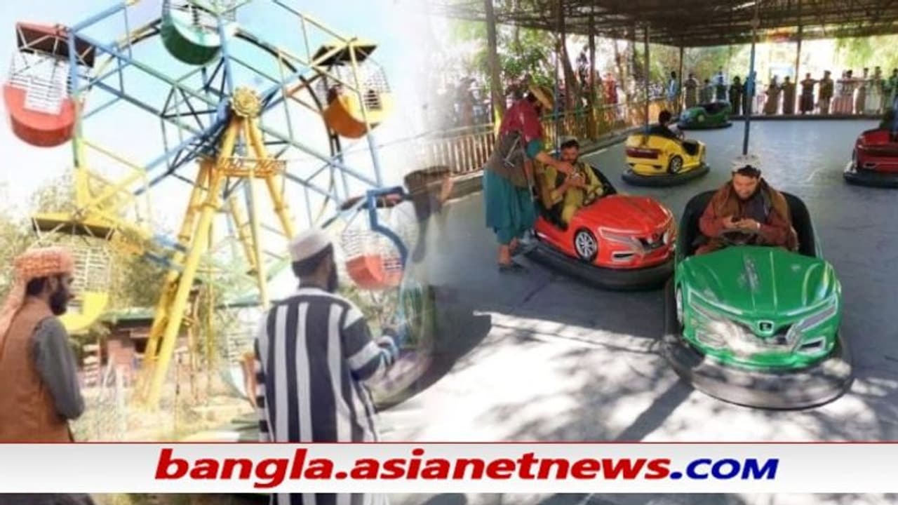 Viral video খেলনা গাড়ি, জিম থেকে অফিসেই নাচগান, জয়ের আনন্দে যেন শিশু হল তালিবান, দেখুন