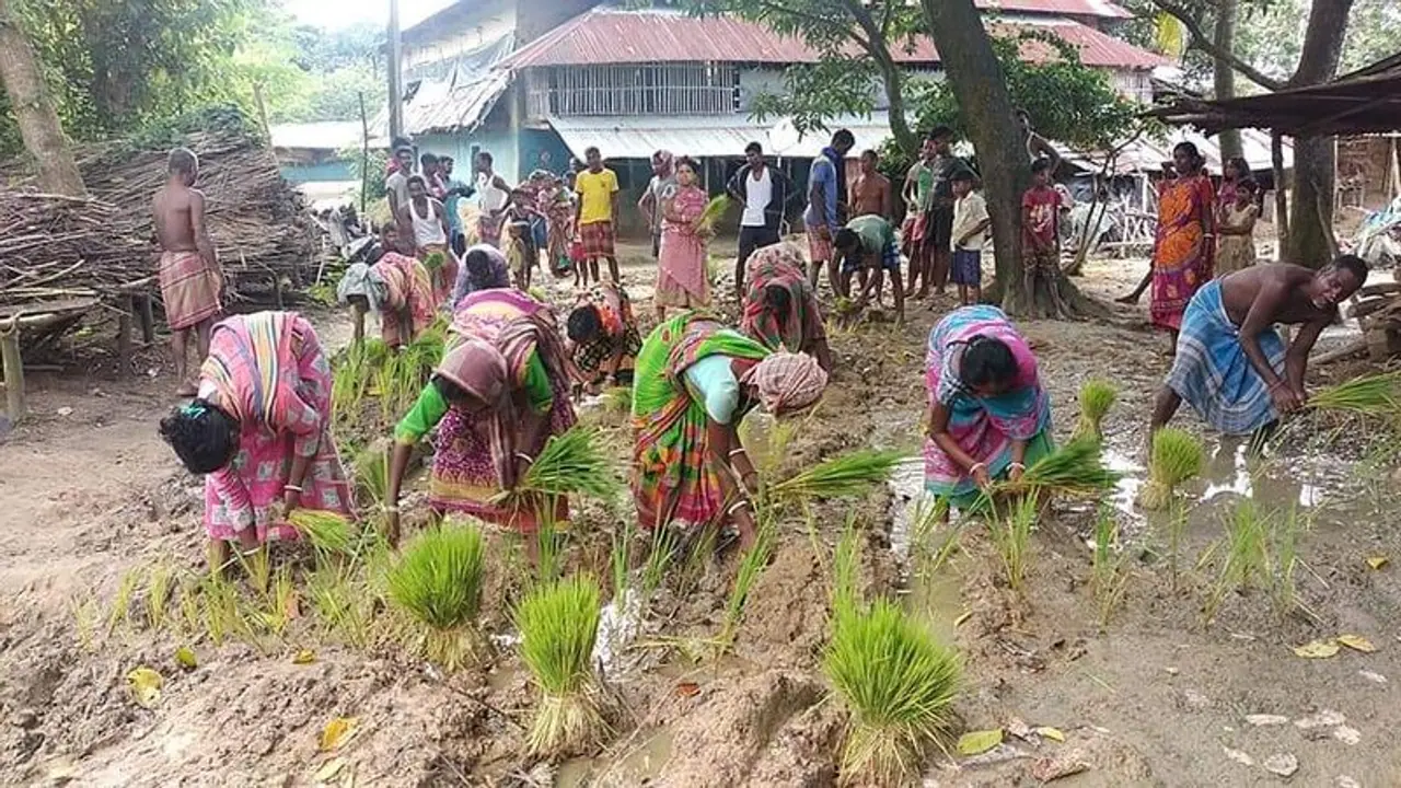 'পাকা রাস্তা চাই', রাস্তায় ধানের চারা পুঁতে বিক্ষোভ গ্রামবাসীদের 'পাকা রাস্তা চাই', রাস্তায় ধানের চারা পুঁতে বিক্ষোভ গ্রামবাসীদের