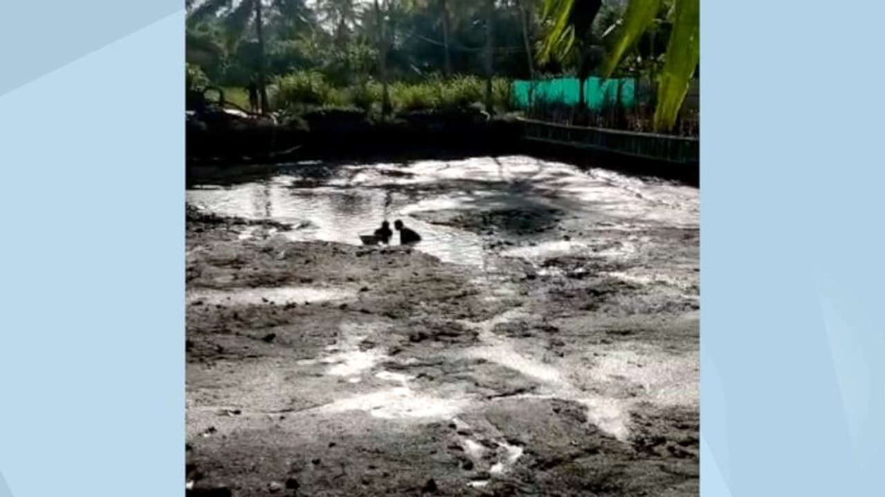 മത്സ്യക്കുളത്തിനായി കുഴിയെടുത്തപ്പോൾ മനുഷ്യ തലയോട്ടിയും അസ്ഥികളും കണ്ടെത്തി മത്സ്യക്കുളത്തിനായി കുഴിയെടുത്തപ്പോൾ മനുഷ്യ തലയോട്ടിയും അസ്ഥികളും കണ്ടെത്തി