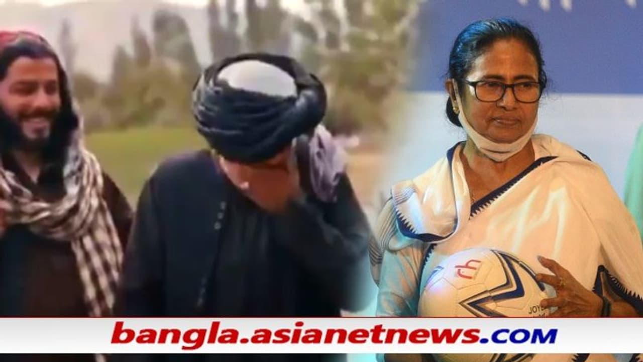 তালিবানি শাসনে মমতা কি মুখ্যমন্ত্রী হতে পারতেন মহিলা রাজনীতিবিদদের নিয়ে কী বলল তারা, দেখুন