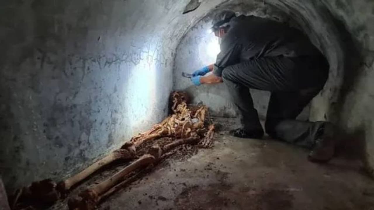 നൂറ്റാണ്ടുകൾ പഴക്കം, അടിമയുടെ മമ്മിഫൈ ചെയ്ത ഭൗതികാവശിഷ്ടങ്ങൾ കണ്ടെത്തി, സുപ്രധാന തെളിവുകൾ നൂറ്റാണ്ടുകൾ പഴക്കം, അടിമയുടെ മമ്മിഫൈ ചെയ്ത ഭൗതികാവശിഷ്ടങ്ങൾ കണ്ടെത്തി, സുപ്രധാന തെളിവുകൾ