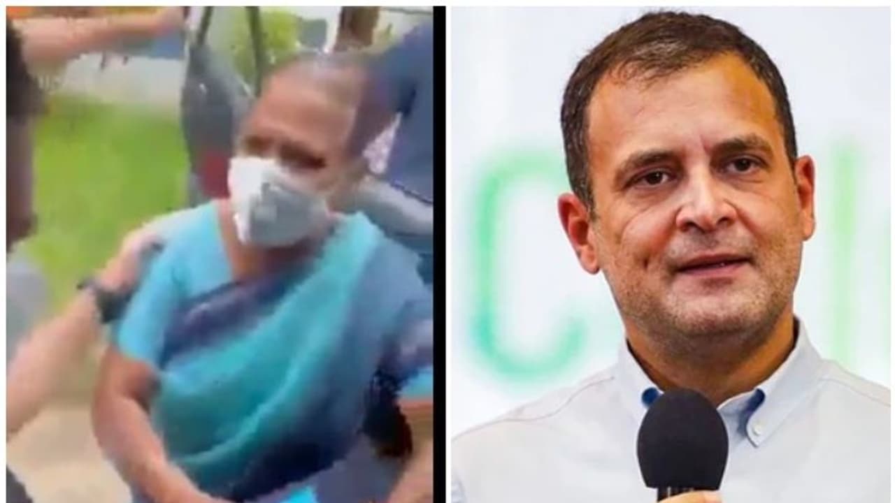 'എന്റെ മകനാണ്, അവനെ ഭൂമിയില് ആദ്യം കണ്ടത് ഞാനാണ്'; രാഹുലിനെ നെറുകില് ചുംബിച്ച് രാജമ്മ, വീഡിയോ 'എന്റെ മകനാണ്, അവനെ ഭൂമിയില് ആദ്യം കണ്ടത് ഞാനാണ്'; രാഹുലിനെ നെറുകില് ചുംബിച്ച് രാജമ്മ, വീഡിയോ