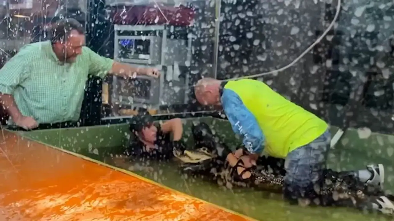 Alligator bites zoo handler's hand, visitor comes to her rescue; watch horrifying video