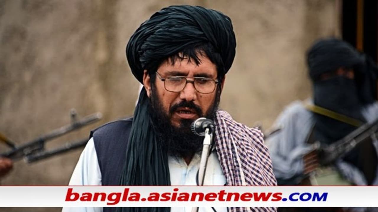 আচমকা মুক্ত বিক্ষুব্ধ তালিবান নেতা রসুল, আফগানিস্তানের জটিলতা বাড়ালো পাকিস্তান