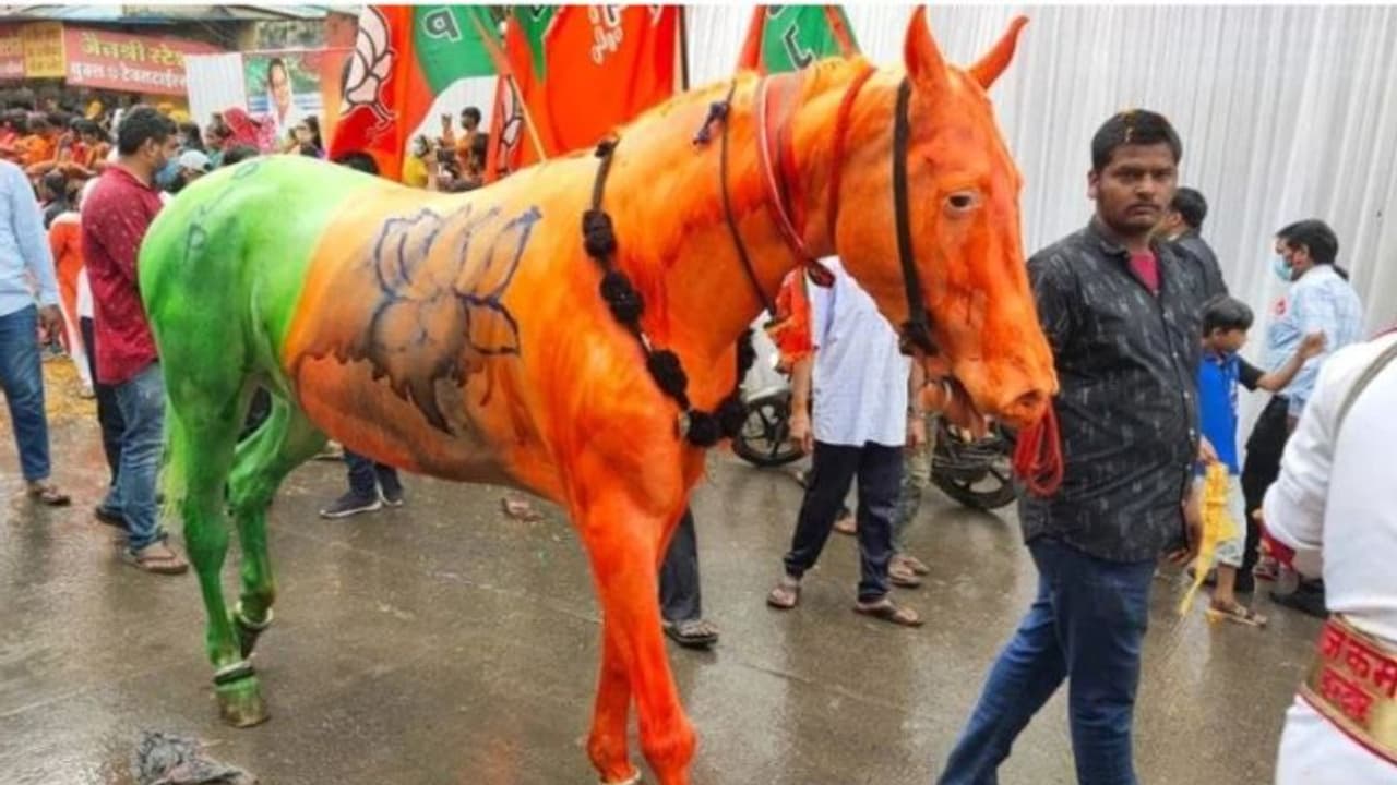 দেশের সবচেয়ে ধনী দল বিজেপিই, ধারে কাছে নেই কেউ সম্পদের নিরিখে দ্বিতীয় স্থানেও নেই কংগ্রেস দেশের সবচেয়ে ধনী দল বিজেপিই, ধারে কাছে নেই কেউ সম্পদের নিরিখে দ্বিতীয় স্থানেও নেই কংগ্রেস