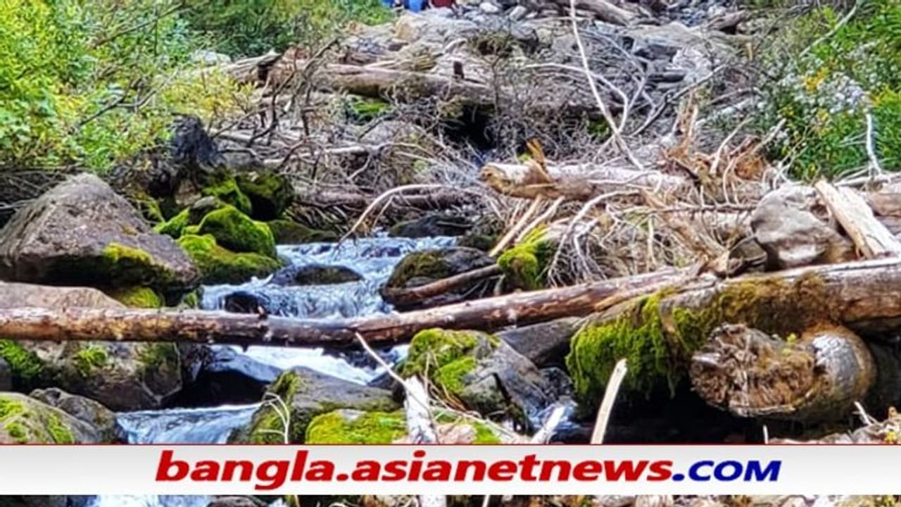 শ্বাস নেওয়া ঝর্ণা, ১৫ মিনিট বাদে বাদে শুকিয়ে যায় জল এই ম্যাজিকের সমাধান আজও হয়নি শ্বাস নেওয়া ঝর্ণা, ১৫ মিনিট বাদে বাদে শুকিয়ে যায় জল এই ম্যাজিকের সমাধান আজও হয়নি