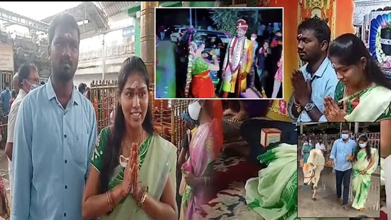 వేములవాడ రాజన్నను దర్శించుకున్న ‘నీ బుల్లెట్ బండెక్కి వచ్చే తా... పా’ జంట...(వీడియో) వేములవాడ రాజన్నను దర్శించుకున్న ‘నీ బుల్లెట్ బండెక్కి వచ్చే తా... పా’ జంట...(వీడియో)