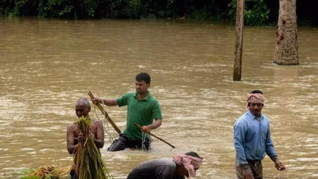 'জনপ্রতিনিধিদের গালভরা আশ্বাস ছাড়া আর কিছুই নেই', ক্ষুব্ধ প্লাবিত এলাকার বাসিন্দারা 'জনপ্রতিনিধিদের গালভরা আশ্বাস ছাড়া আর কিছুই নেই', ক্ষুব্ধ প্লাবিত এলাকার বাসিন্দারা