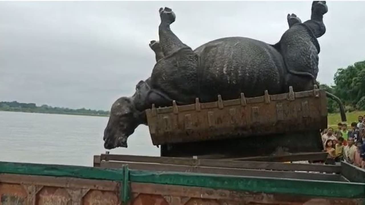 জলদাপাড়ার জঙ্গলে মিলল গন্ডারের দেহ, অক্ষত খড়গ, তদন্ত শুরু বন দফতরের জলদাপাড়ার জঙ্গলে মিলল গন্ডারের দেহ, অক্ষত খড়গ, তদন্ত শুরু বন দফতরের
