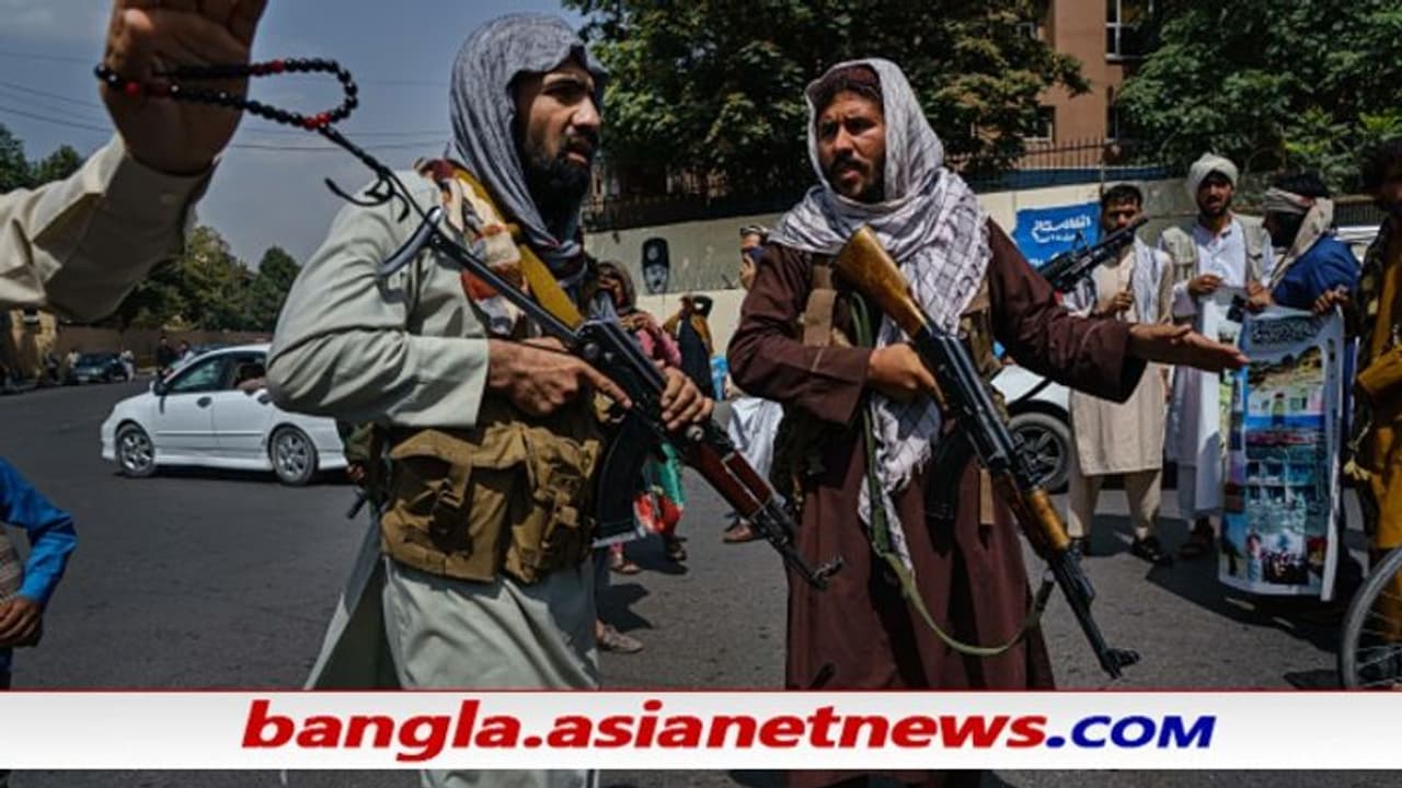 Viral Audio: তালিবান নেতার অডিও ক্লিপ, পাকিস্তানের সঙ্গে সম্পর্ক চিড়ের ইঙ্গিত Viral Audio: তালিবান নেতার অডিও ক্লিপ, পাকিস্তানের সঙ্গে সম্পর্ক চিড়ের ইঙ্গিত