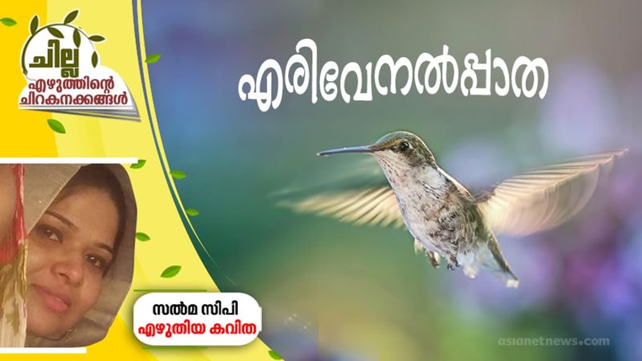 എരിവേനല്പ്പാത എരിവേനല്പ്പാത