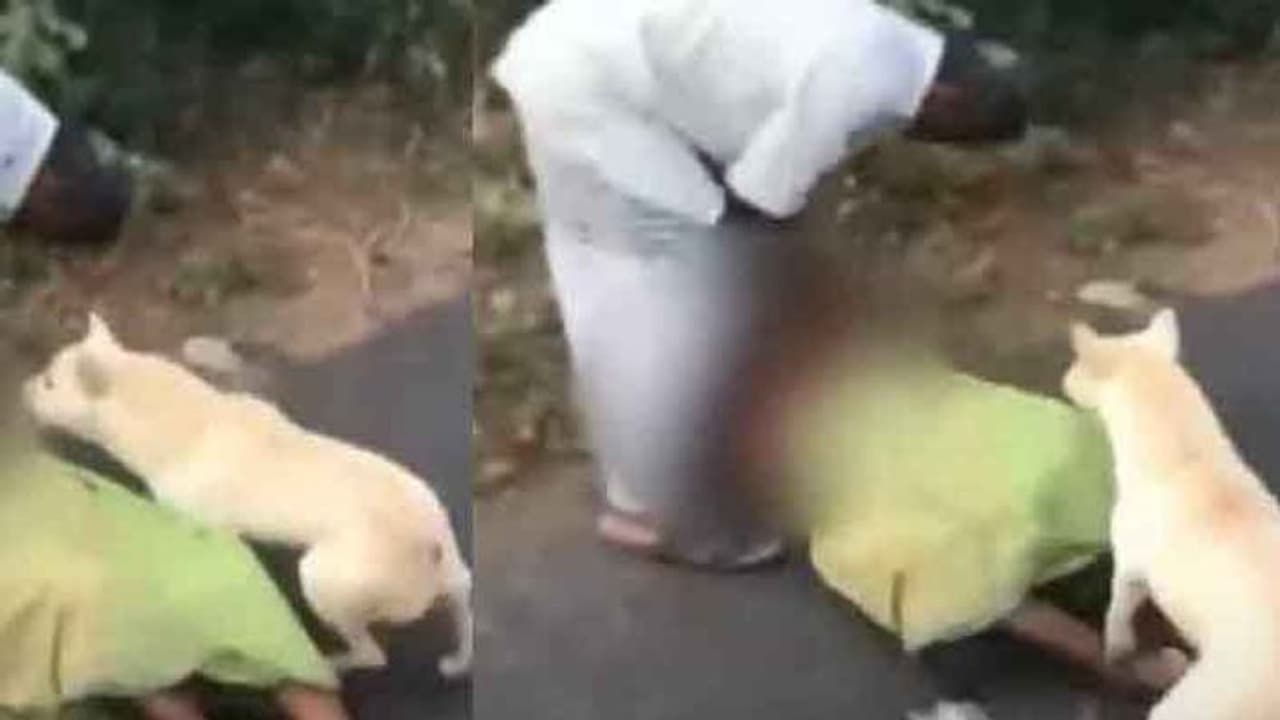 நாய்க்கு இருக்கும் நன்றி மகனுக்கு இல்லையா? தாயை தரதரவென நடுரோட்டி இழுத்து போட்டு தாக்கிய மகன்..! நாய்க்கு இருக்கும் நன்றி மகனுக்கு இல்லையா? தாயை தரதரவென நடுரோட்டி இழுத்து போட்டு தாக்கிய மகன்..!