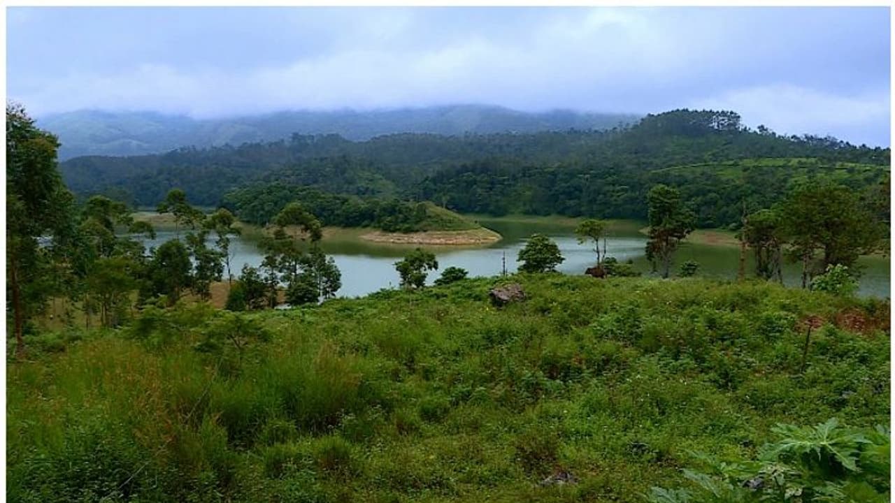 సొంతూరికి స్వయంగా రోడ్డేస్తున్న గిరిజనుడు ధనేశ్వర్ ప్రధాన్.. ‘మాంఝీ’ని తలపిస్తున్న కృషి సొంతూరికి స్వయంగా రోడ్డేస్తున్న గిరిజనుడు ధనేశ్వర్ ప్రధాన్.. ‘మాంఝీ’ని తలపిస్తున్న కృషి