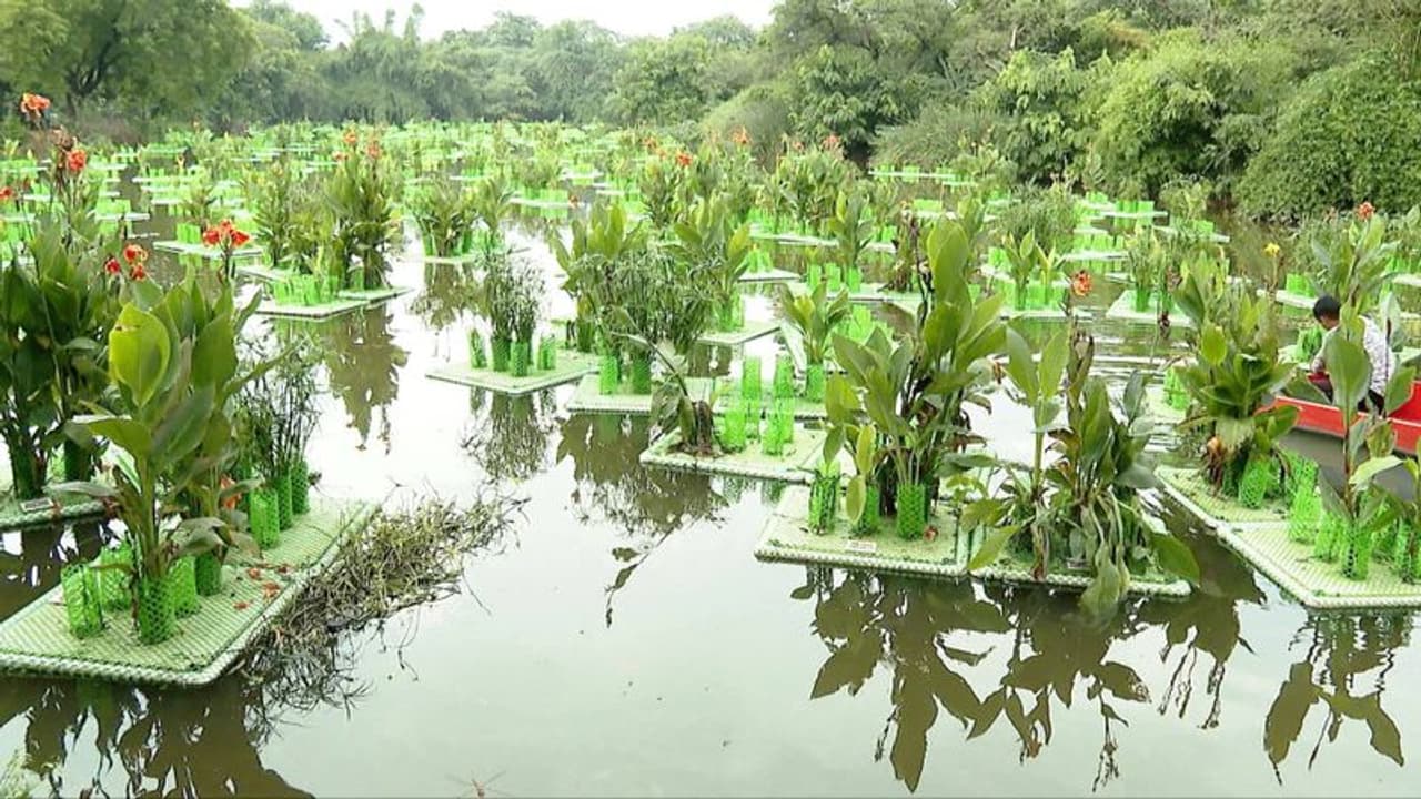 മലിന ജലാശയങ്ങളെ വീണ്ടെടുക്കാൻ മാതൃകയുമായി ദില്ലി സർക്കാർ; വെള്ളത്തിലെ മാലിന്യങ്ങൾ കുറഞ്ഞുവെന്ന് പഠനം മലിന ജലാശയങ്ങളെ വീണ്ടെടുക്കാൻ മാതൃകയുമായി ദില്ലി സർക്കാർ; വെള്ളത്തിലെ മാലിന്യങ്ങൾ കുറഞ്ഞുവെന്ന് പഠനം