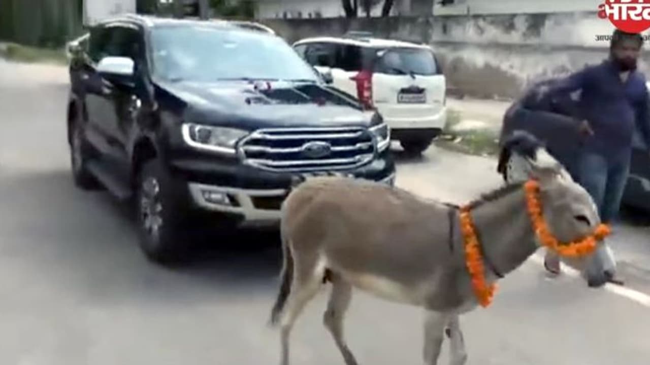 "ആരോടും ഇങ്ങനൊന്നും ചെയ്യരുത്.."കഴുതയെക്കൊണ്ട് പുത്തന് വണ്ടി കെട്ടിവലിച്ച് ഉടമയുടെ പ്രതികാരം! "ആരോടും ഇങ്ങനൊന്നും ചെയ്യരുത്.."കഴുതയെക്കൊണ്ട് പുത്തന് വണ്ടി കെട്ടിവലിച്ച് ഉടമയുടെ പ്രതികാരം!