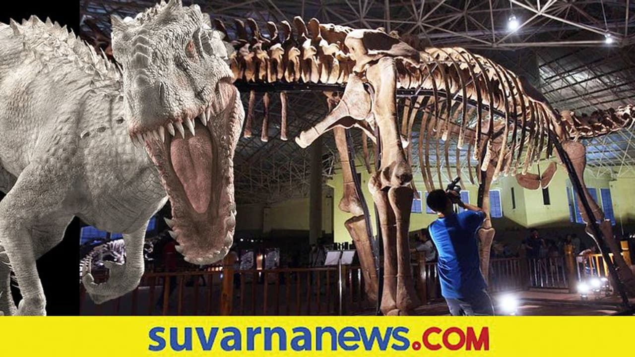 ಚೀನಾದಲ್ಲಿ ನೀಲಿ ತಿಮಿಂಗಿಲದಷ್ಟು ದೊಡ್ಡ ಎರಡು ಹೊಸ ಡೈನೋಸಾರ್ ಪಳಿಯುಳಿಕೆ ಪತ್ತೆ