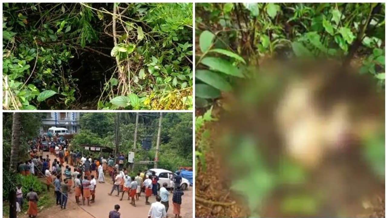 'തലയ്ക്ക് അടിയേറ്റത് പത്തിലേറെ തവണ', പ്രജീഷ് കൊലക്കേസിലെ പോസ്റ്റ് മോർട്ടം റിപ്പോർട്ടിൽ നിർണായക വിവരങ്ങൾ 'തലയ്ക്ക് അടിയേറ്റത് പത്തിലേറെ തവണ', പ്രജീഷ് കൊലക്കേസിലെ പോസ്റ്റ് മോർട്ടം റിപ്പോർട്ടിൽ നിർണായക വിവരങ്ങൾ