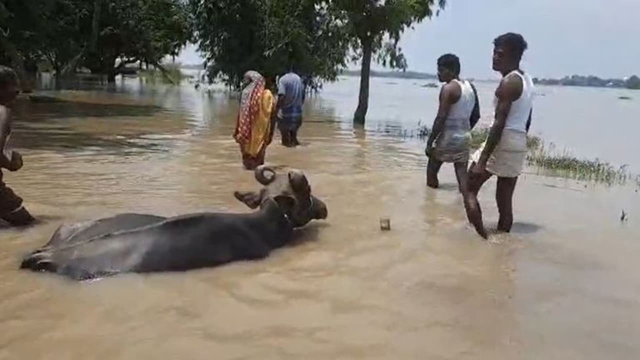 মালদহে বিজেপিকে ভোট দেওয়ায় মিলছে না ত্রাণ, জুটছে না খাবার, বিক্ষোভ স্থানীয়দের মালদহে বিজেপিকে ভোট দেওয়ায় মিলছে না ত্রাণ, জুটছে না খাবার, বিক্ষোভ স্থানীয়দের