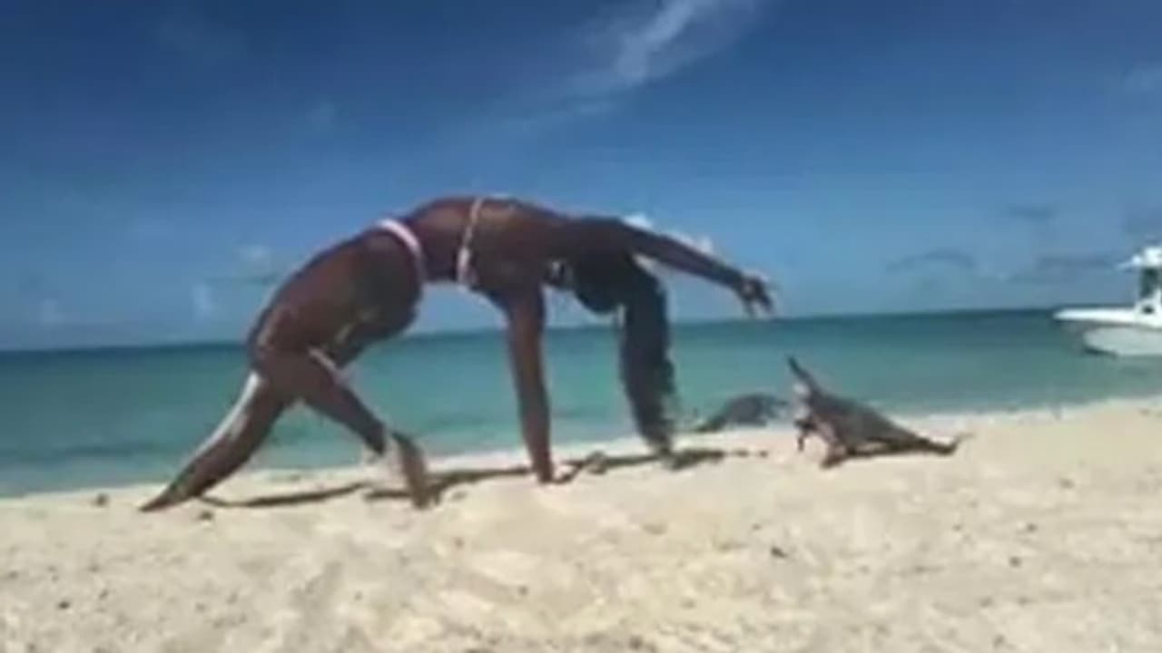 യോഗ ചെയ്യുന്നതിനിടെ യുവതിയുടെ വിരലിൽ കടിച്ച് ഇഗ്വാന; വീഡിയോ കണ്ടത് 36 ലക്ഷം ആളുകൾ!