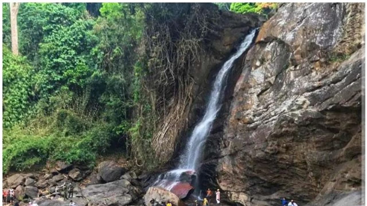 പ്രതിഷേധങ്ങള്‍ക്കൊടുവില്‍ സൂചിപ്പാറ തുറന്നു; സഞ്ചാരികളുടെ തിരക്ക്