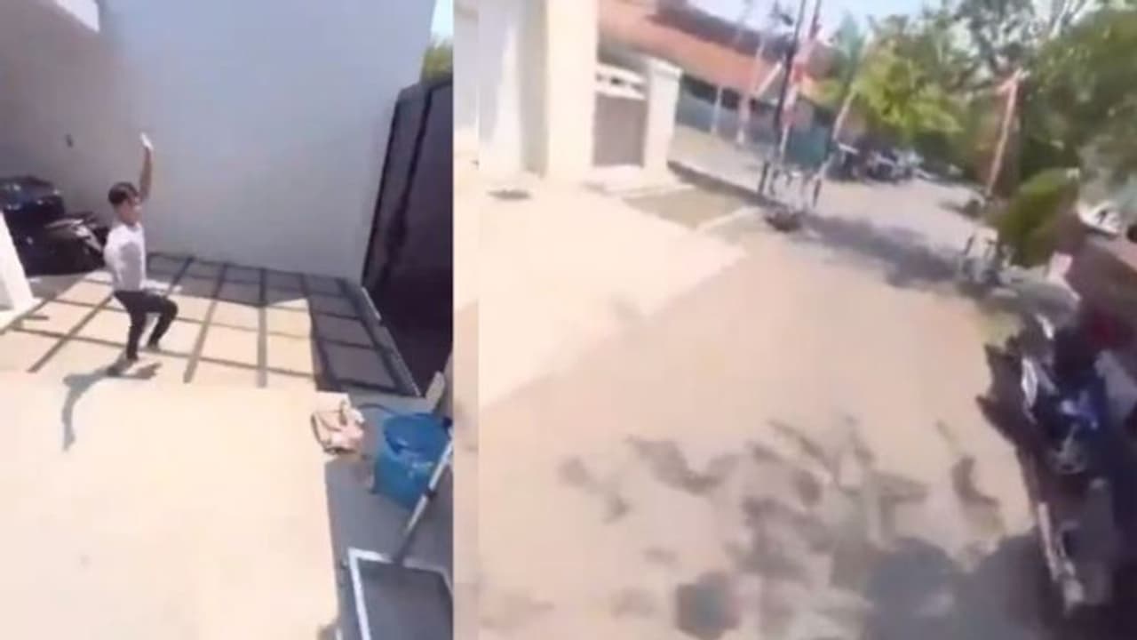 വീഡിയോ പകര്ത്തുന്നതിനിടെ ഫോണും കൊണ്ട് തത്ത പറന്നു; ക്യാമറയില് പതിഞ്ഞ ദൃശ്യങ്ങള് വൈറല് വീഡിയോ പകര്ത്തുന്നതിനിടെ ഫോണും കൊണ്ട് തത്ത പറന്നു; ക്യാമറയില് പതിഞ്ഞ ദൃശ്യങ്ങള് വൈറല്