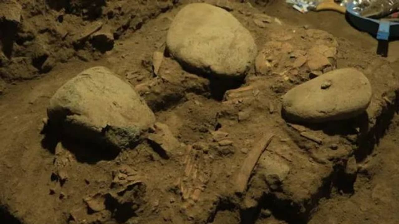 7200 വർഷം പഴക്കമുള്ള സ്ത്രീയുടെ ഭൗതികാവശിഷ്ടത്തിൽനിന്നും ഡിഎൻഎ, മനുഷ്യരുടെ കുടിയേറ്റത്തെ കുറിച്ച് നിർണായകവിവരം 7200 വർഷം പഴക്കമുള്ള സ്ത്രീയുടെ ഭൗതികാവശിഷ്ടത്തിൽനിന്നും ഡിഎൻഎ, മനുഷ്യരുടെ കുടിയേറ്റത്തെ കുറിച്ച് നിർണായകവിവരം