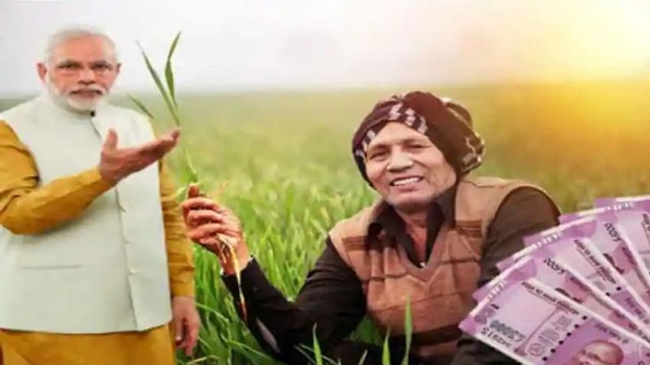 इस दिन खाते में आएगा PM Kisan samman Nidhi yojana की 12वीं किस्त का 2000 रुपया, जान लें तारीख इस दिन खाते में आएगा PM Kisan samman Nidhi yojana की 12वीं किस्त का 2000 रुपया, जान लें तारीख