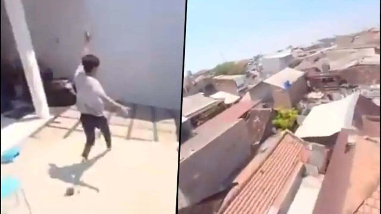 Parrot turns mobile snatcher; a bird flies away with a phone video goes viral Parrot turns mobile snatcher; a bird flies away with a phone video goes viral