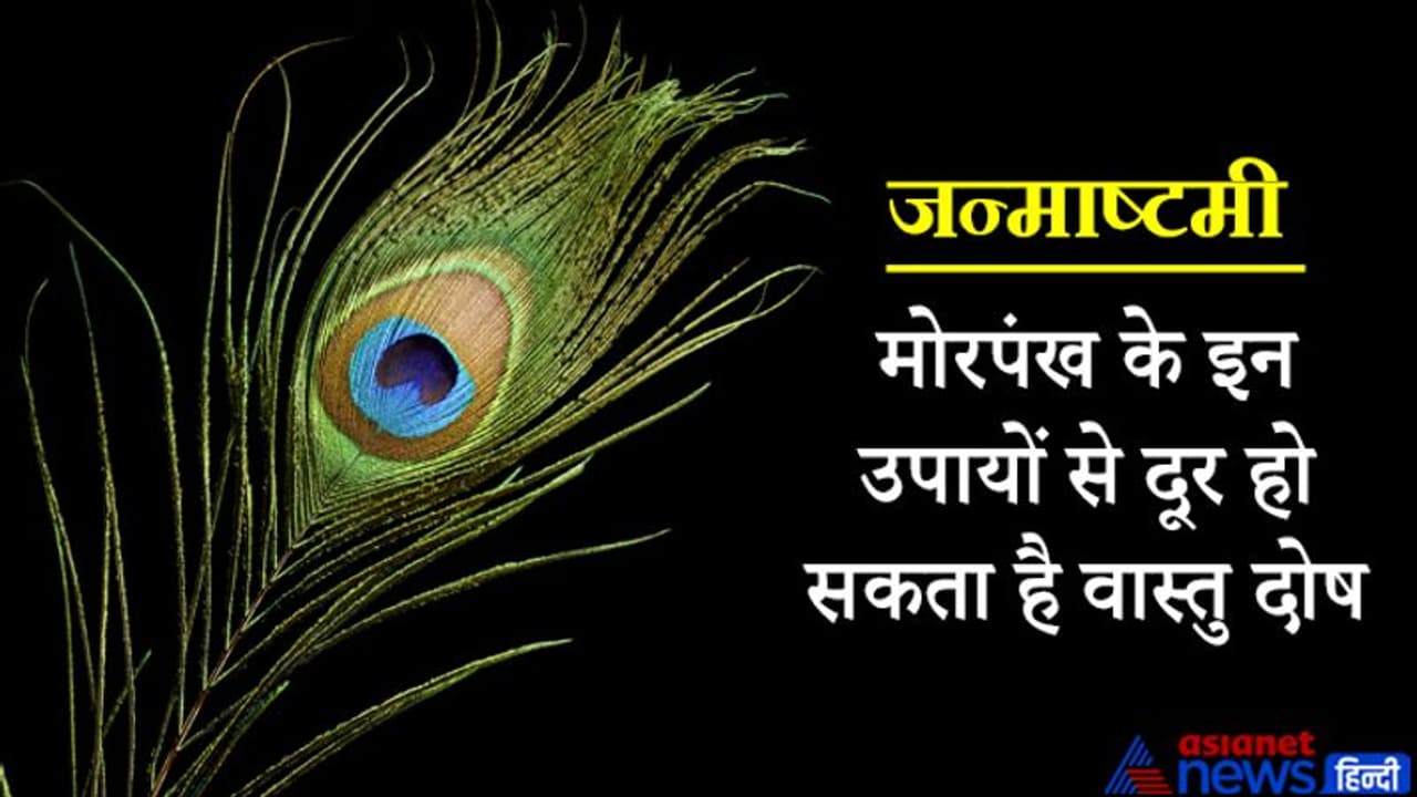 भगवान श्रीकृष्ण को प्रिय है मोरपंख, इसके उपायों से दूर हो सकता है वास्तु दोष व अन्य परेशानियां