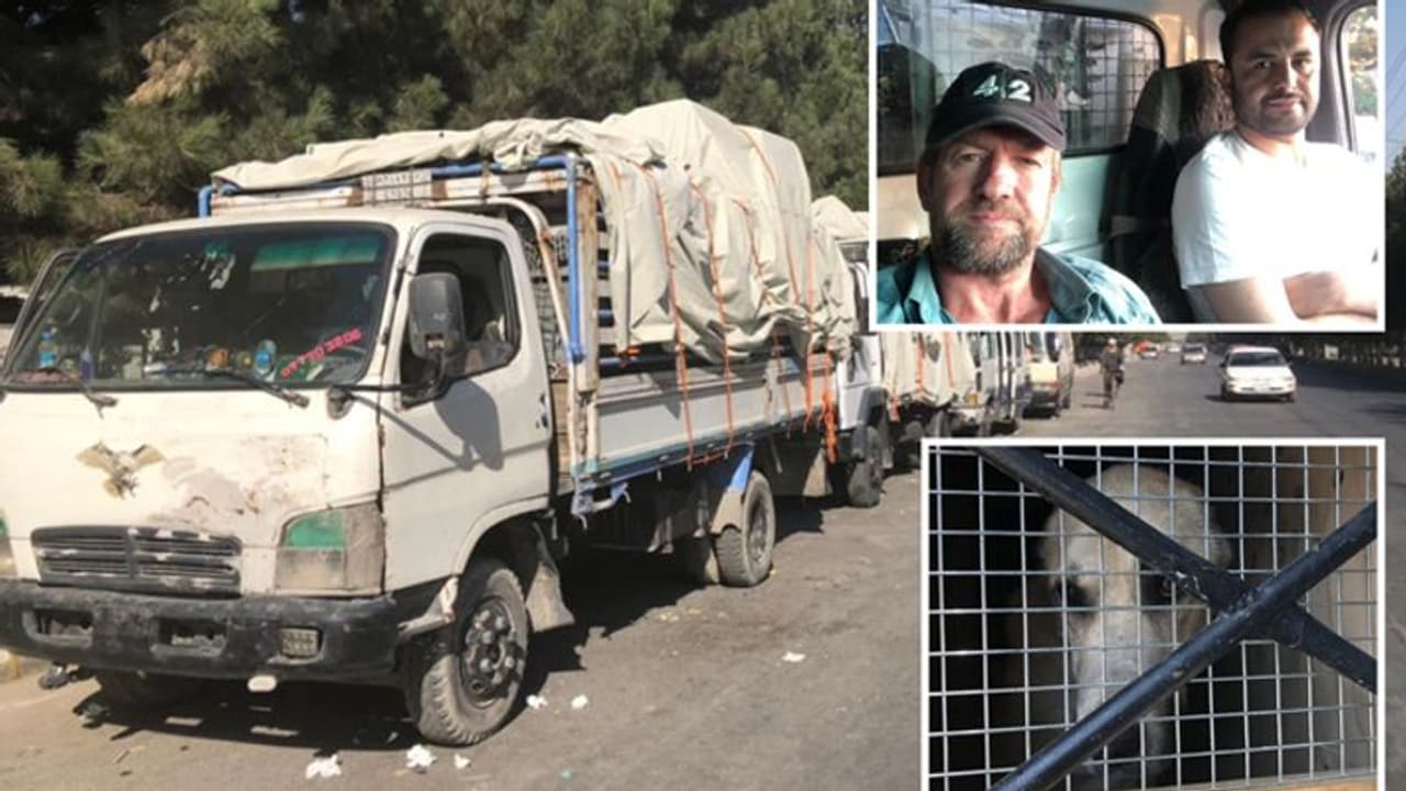 आतंकियों से 173 कुत्ते बिल्लियों को बचाने की कहानी, एयरपोर्ट पर पहुंचने से पहले 15 लोगों ने तानी गन आतंकियों से 173 कुत्ते बिल्लियों को बचाने की कहानी, एयरपोर्ट पर पहुंचने से पहले 15 लोगों ने तानी गन