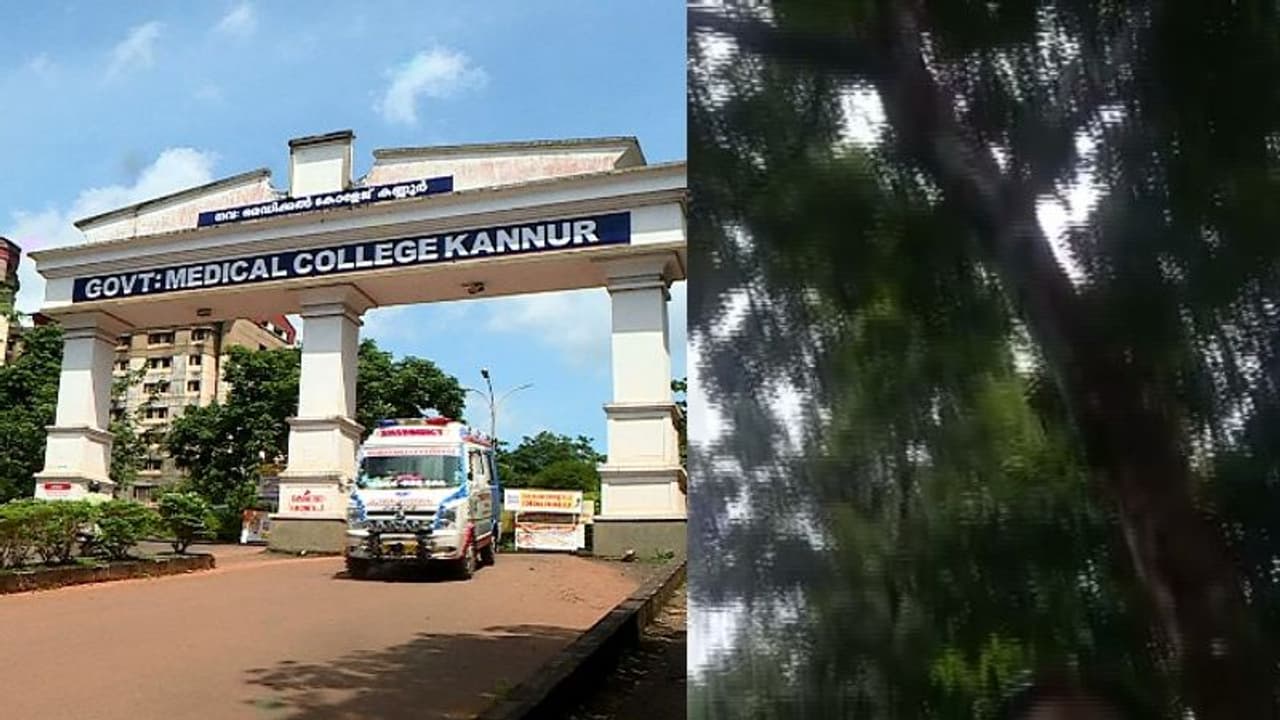 പഠന ആവശ്യത്തിന് മൊബൈലിൽ റേഞ്ചില്ല, കൂറ്റൻ മരത്തിൽ കയറിയ വിദ്യാർത്ഥിക്ക് പാറക്കൂട്ടത്തിൽ വീണ് ഗുരുതര പരിക്ക് പഠന ആവശ്യത്തിന് മൊബൈലിൽ റേഞ്ചില്ല, കൂറ്റൻ മരത്തിൽ കയറിയ വിദ്യാർത്ഥിക്ക് പാറക്കൂട്ടത്തിൽ വീണ് ഗുരുതര പരിക്ക്