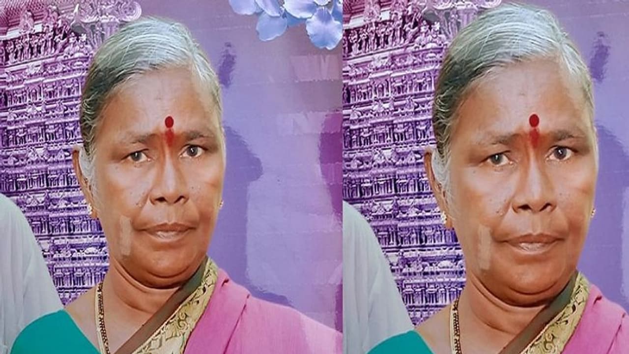 తలపై కర్రతో కొట్టి ఒంటరి వృద్ధురాలి హత్య.. బంగారం కోసం దారుణం... ! తలపై కర్రతో కొట్టి ఒంటరి వృద్ధురాలి హత్య.. బంగారం కోసం దారుణం... !