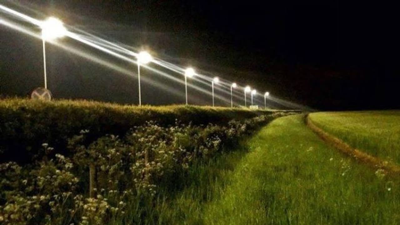 എൽഇഡി തെരുവുവിളക്കുകൾ പ്രാണികളെയും പുഴുക്കളെയും ഇല്ലാതാക്കുമോ? ഈ പഠനം പറയുന്നത് എൽഇഡി തെരുവുവിളക്കുകൾ പ്രാണികളെയും പുഴുക്കളെയും ഇല്ലാതാക്കുമോ? ഈ പഠനം പറയുന്നത്