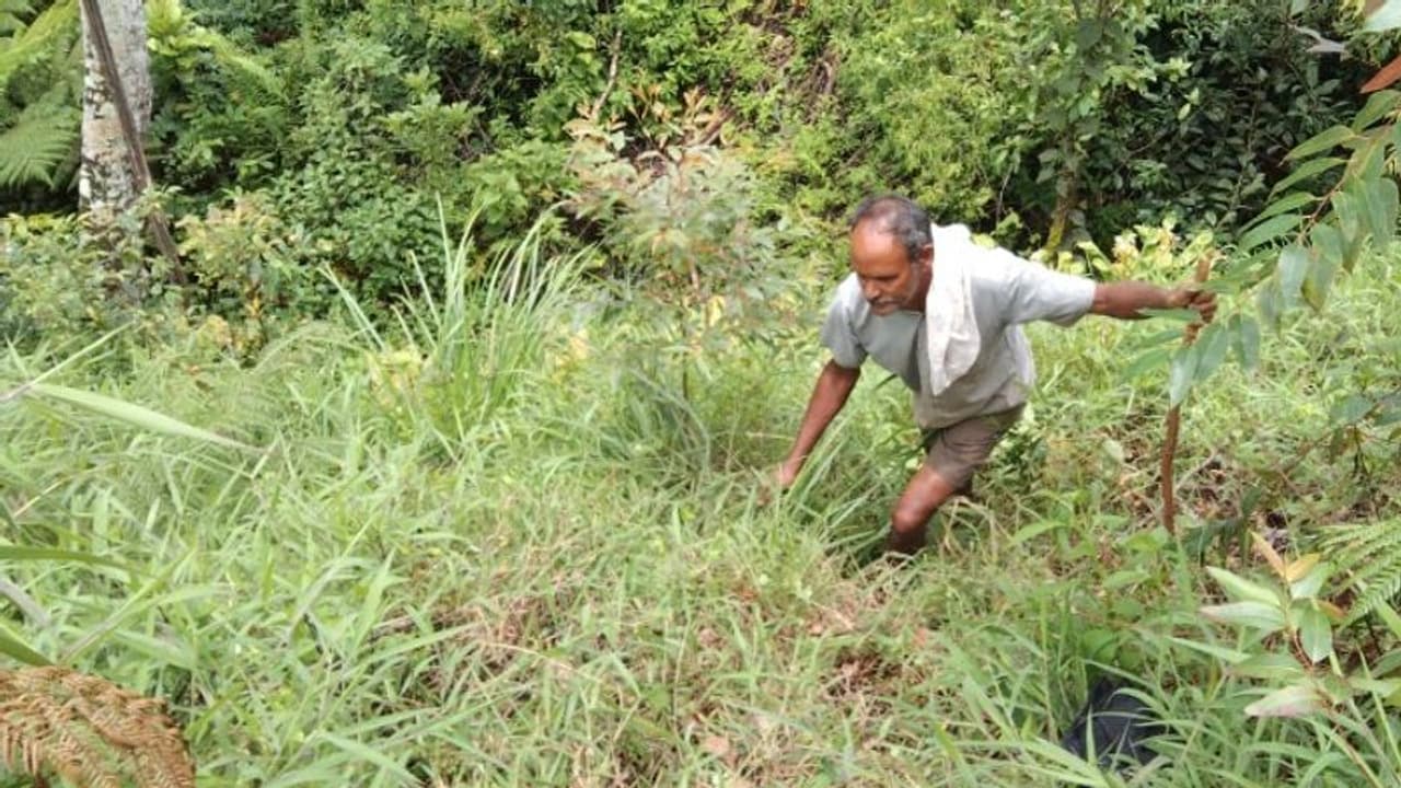 അനുവദിച്ച ഭൂമി വാസയോഗ്യമല്ല, മാറ്റി നൽകാതെ അധികൃതർ; ഓഫീസുകൾ കയറിയിറങ്ങി ഗണേഷൻ അനുവദിച്ച ഭൂമി വാസയോഗ്യമല്ല, മാറ്റി നൽകാതെ അധികൃതർ; ഓഫീസുകൾ കയറിയിറങ്ങി ഗണേഷൻ