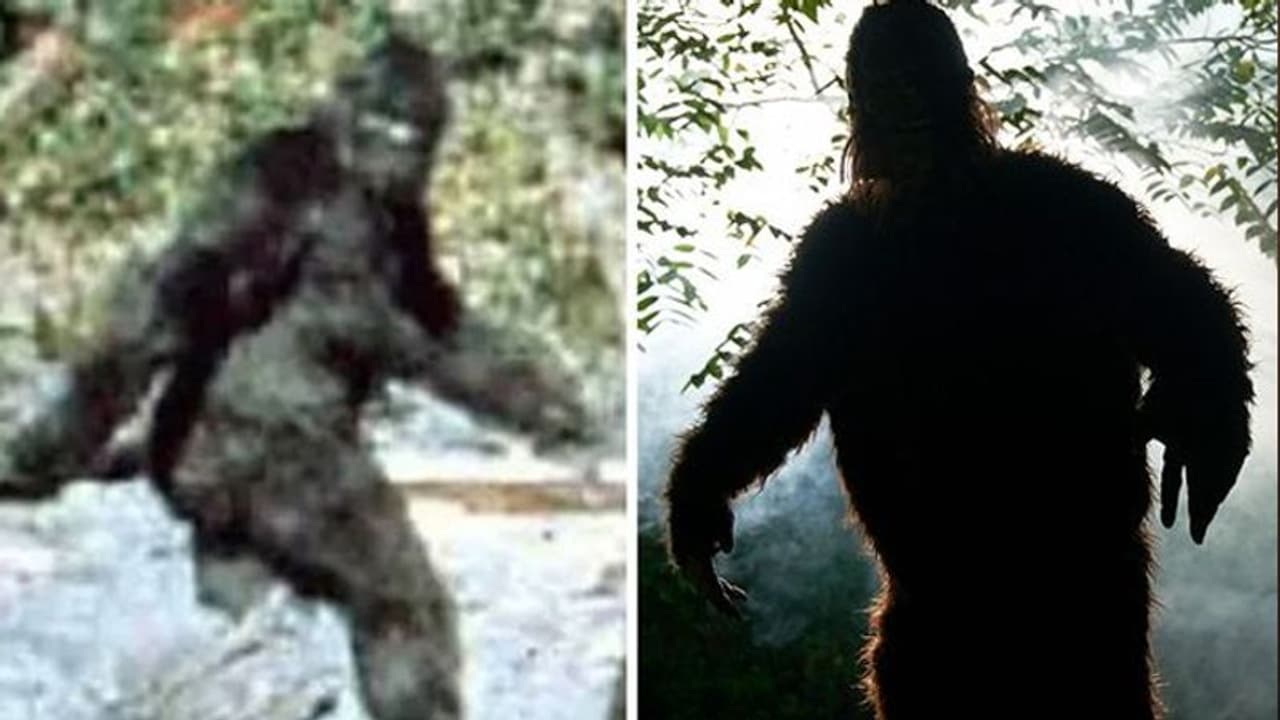 'राक्षस के आकार की वह आकृति, जिसने पेड़ों को फेंकना शुरू कर दिया, मुझपर हमला किया'