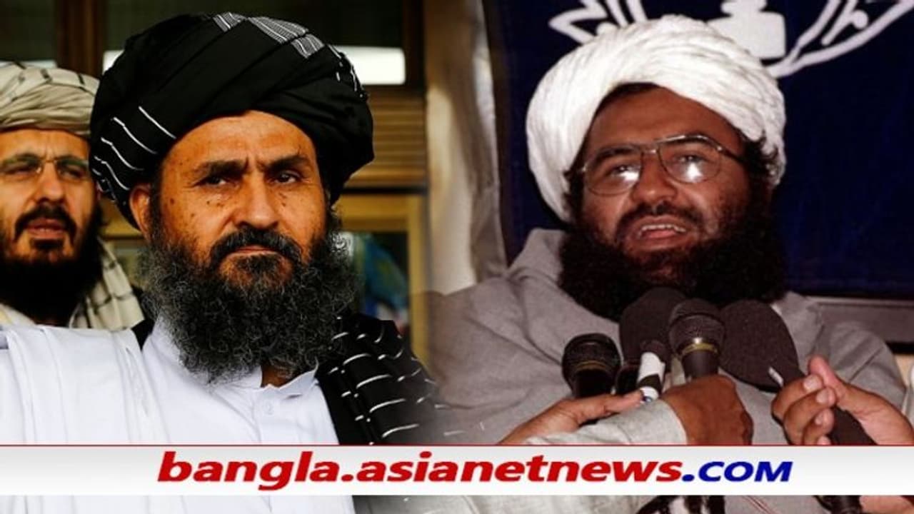 তালিবান কাবুল দখলের পরই কান্দাহারে মাসুদ আজহার, ফিরছে কি পুরোনো ভাইচারা তালিবান কাবুল দখলের পরই কান্দাহারে মাসুদ আজহার, ফিরছে কি পুরোনো ভাইচারা