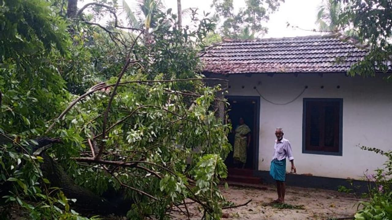 ആലപ്പുഴയിൽ ശക്തമായ കാറ്റില് മരം വീണ് വീട് തകര്ന്നു ആലപ്പുഴയിൽ ശക്തമായ കാറ്റില് മരം വീണ് വീട് തകര്ന്നു